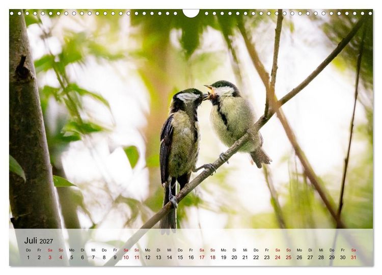 Produktbild: Magische Tiermomente (Wandkalender 2027 DIN A3 quer), CALVENDO Monatskalender