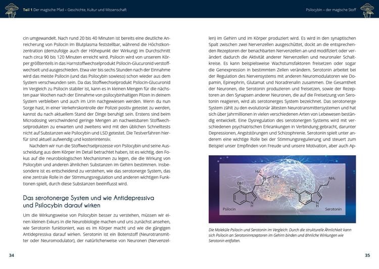 Produktbild: Microdosing mit Psilocybin