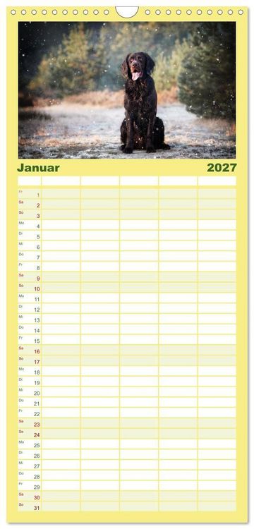 Produktbild: Familienplaner 2027 - Passion Jagdhund - Deutsch Langhaar mit 5 Spalten (Wandkalender, 21 x 45 cm) CALVENDO