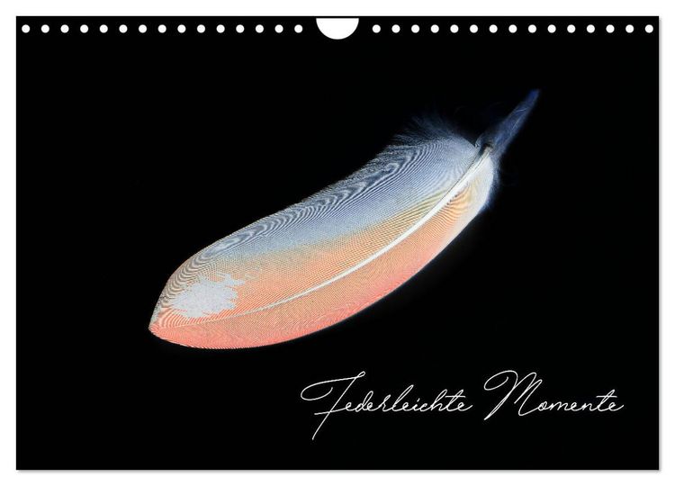 Produktbild: Federleichte Momente (Wandkalender 2026 DIN A4 quer), CALVENDO Monatskalender
