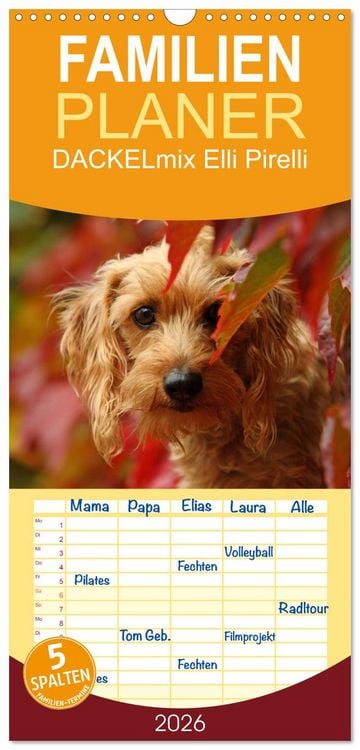 Produktbild: Familienplaner 2026 - DACKELmix Elli Pirelli mit 5 Spalten (Wandkalender, 21 x 45 cm) CALVENDO