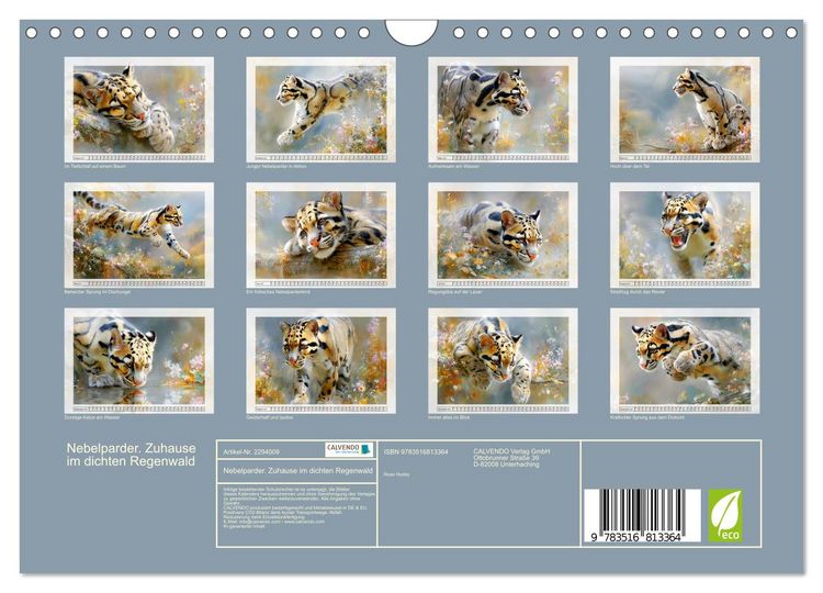 Produktbild: Nebelparder. Zuhause im dichten Regenwald (Wandkalender 2027 DIN A4 quer), CALVENDO Monatskalender
