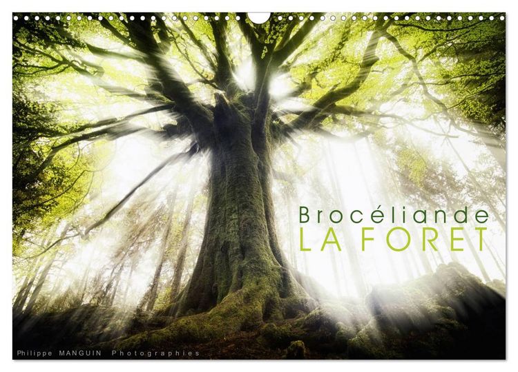 Produktbild: BROCELIANDE, la for&ecirc;t (Calendrier mural 2026 DIN A3 vertical), CALVENDO calendrier mensuel
