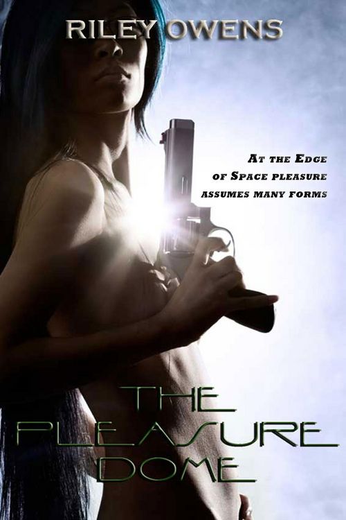Produktbild: The Pleasure Dome (Erotic Flights of Fantasy, #11)