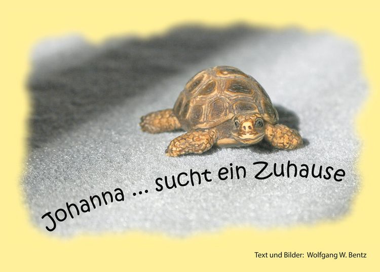Produktbild: Johanna sucht ein Zuhause