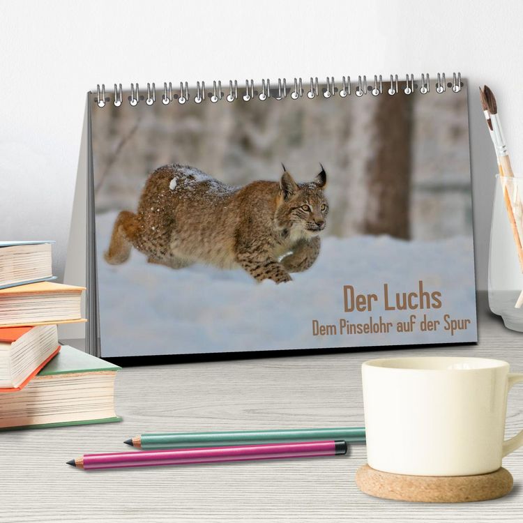 Produktbild: Der Luchs - Dem Pinselohr auf der Spur (Tischkalender 2026 DIN A5 quer), CALVENDO Monatskalender