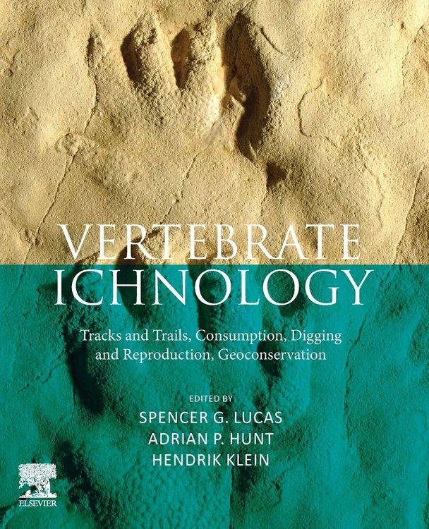 Produktbild: Vertebrate Ichnology
