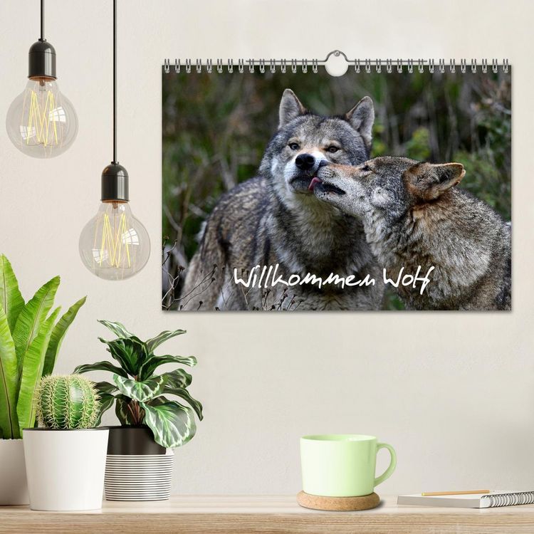 Produktbild: Willkommen Wolf (Wandkalender 2026 DIN A4 quer), CALVENDO Monatskalender