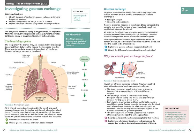 Produktbild: Collins GCSE Science - OCR Gateway GCSE (9-1) Biology for Combined Science