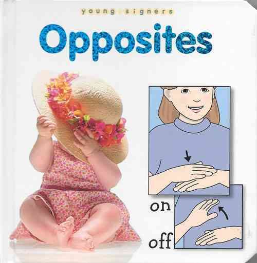 Produktbild: Opposites Board Bk