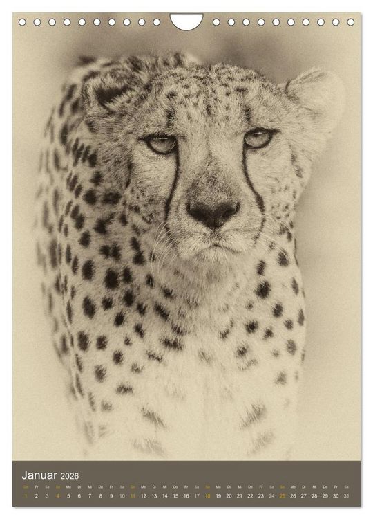 Produktbild: Afrikas Tierwelt - Sepia-Art (Wandkalender 2026 DIN A4 hoch), CALVENDO Monatskalender