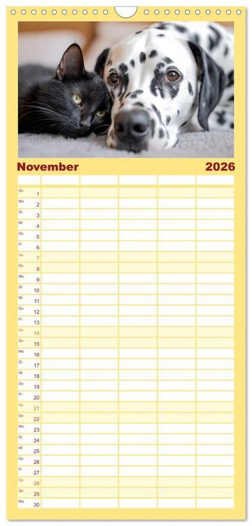 Produktbild: Familienplaner 2026 - Hund und Katze - Tierische Freunde mit 5 Spalten (Wandkalender, 21 x 45 cm) CALVENDO