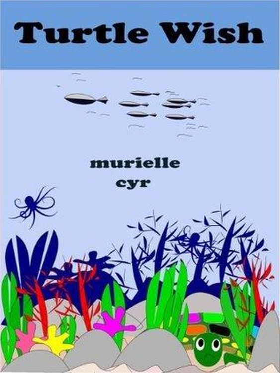 Produktbild: Turtle Wish