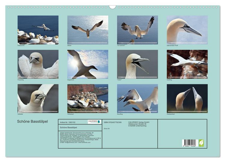 Produktbild: Sch&ouml;ne Basst&ouml;lpel (Wandkalender 2026 DIN A2 quer), CALVENDO Monatskalender