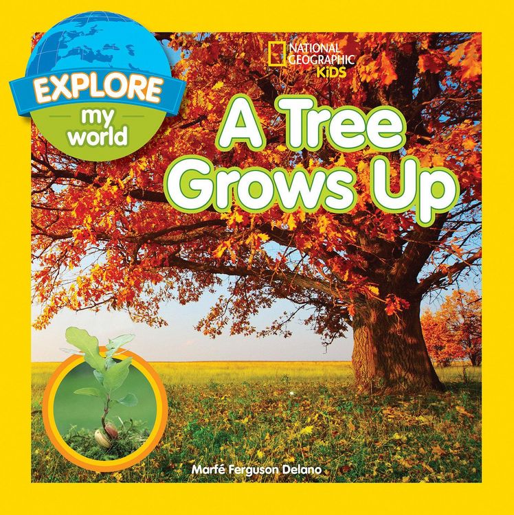 Produktbild: Explore My World: A Tree Grows Up