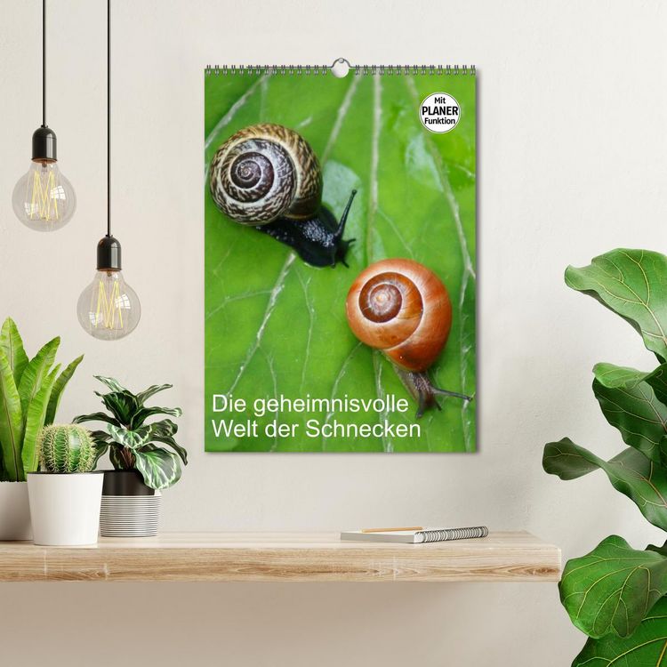 Produktbild: Die geheimnisvolle Welt der Schnecken (Wandkalender 2026 DIN A3 hoch), CALVENDO Monatskalender