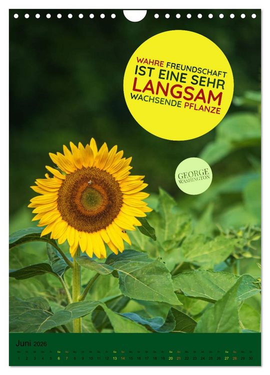 Produktbild: Freundschaft Weisheiten und Zitate (Wandkalender 2026 DIN A4 hoch), CALVENDO Monatskalender