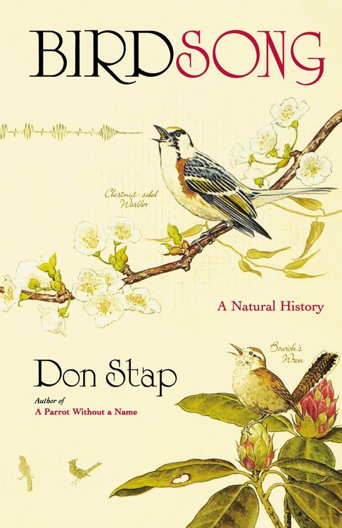 Produktbild: Birdsong