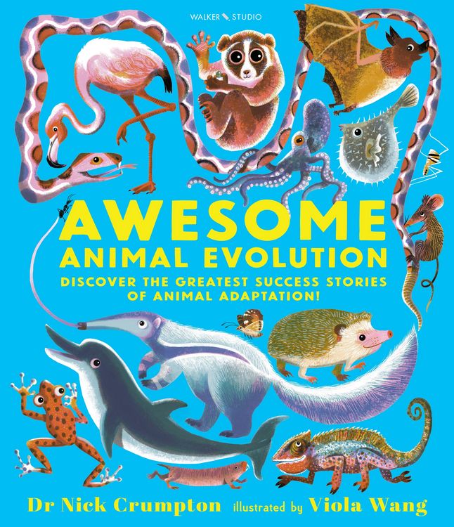 Produktbild: Awesome Animal Evolution: Discover the Greatest Success Stories of Animal Adaptation!