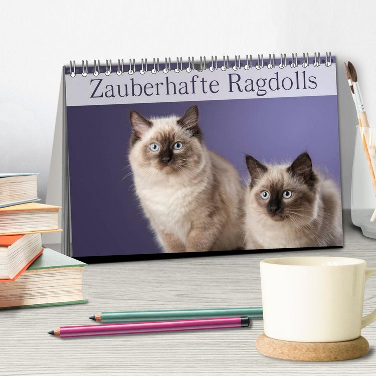 Produktbild: Zauberhafte Ragdolls / Geburtstagskalender (Tischkalender 2026 DIN A5 quer), CALVENDO Monatskalender