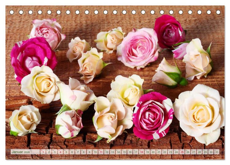 Produktbild: So viele sch&ouml;ne Rosen (Tischkalender 2026 DIN A5 quer), CALVENDO Monatskalender