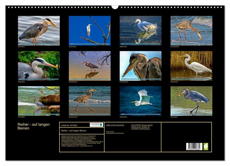 Produktbild: Reiher - auf langen Beinen (Wandkalender 2026 DIN A2 quer), CALVENDO Monatskalender