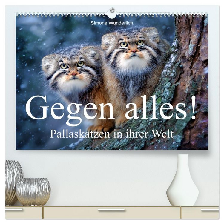 Produktbild: Gegen alles! - Pallaskatzen in ihrer Welt (hochwertiger Premium Wandkalender 2027 DIN A2 quer), Kunstdruck in Hochglanz