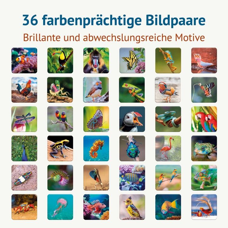 Produktbild: Farbenpr&auml;chtig - Memospiel