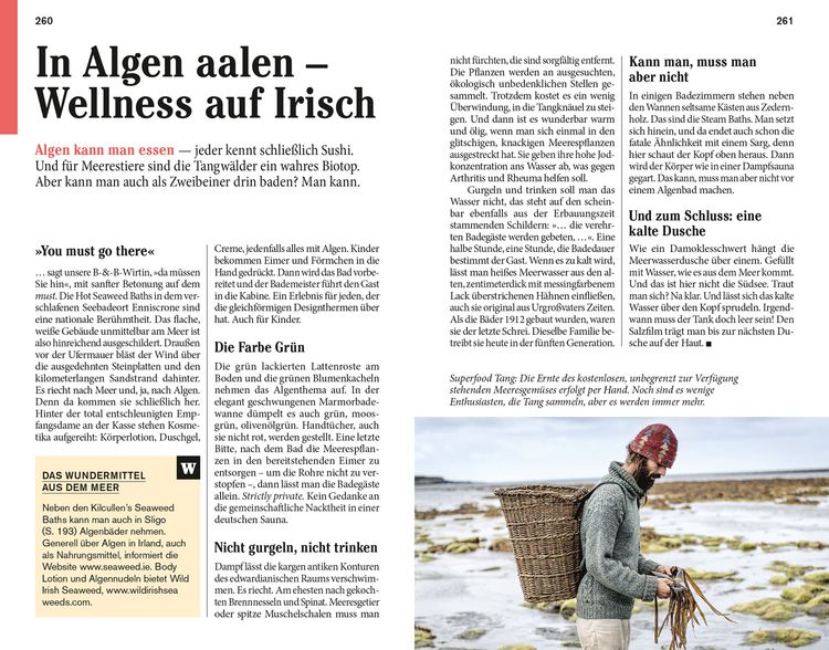 Produktbild: DuMont Reise-Taschenbuch Irland