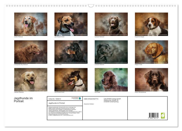 Produktbild: Jagdhunde im Portrait (Wandkalender 2026 DIN A2 quer), CALVENDO Monatskalender