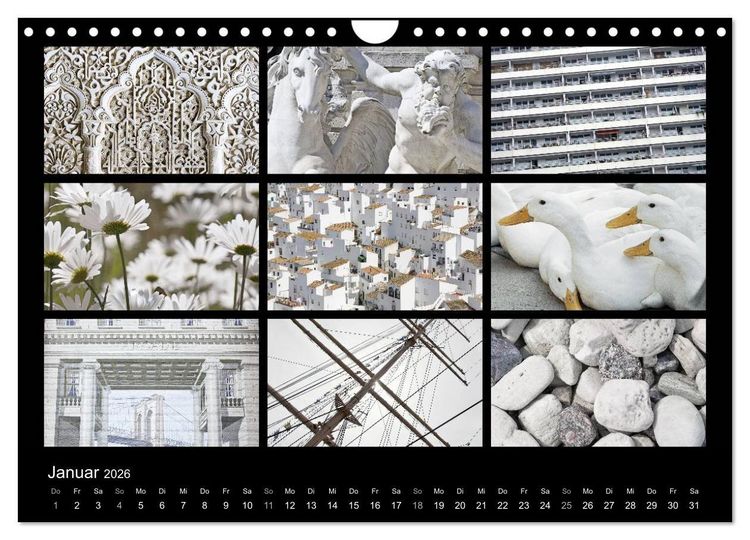 Produktbild: Colours (Wandkalender 2026 DIN A4 quer), CALVENDO Monatskalender