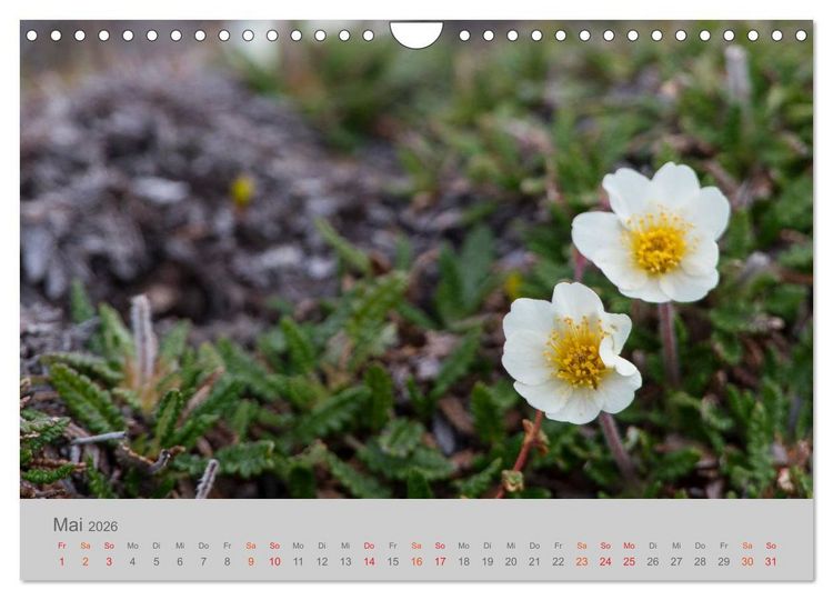 Produktbild: Spitzbergen 80&deg; Nord (Wandkalender 2026 DIN A4 quer), CALVENDO Monatskalender