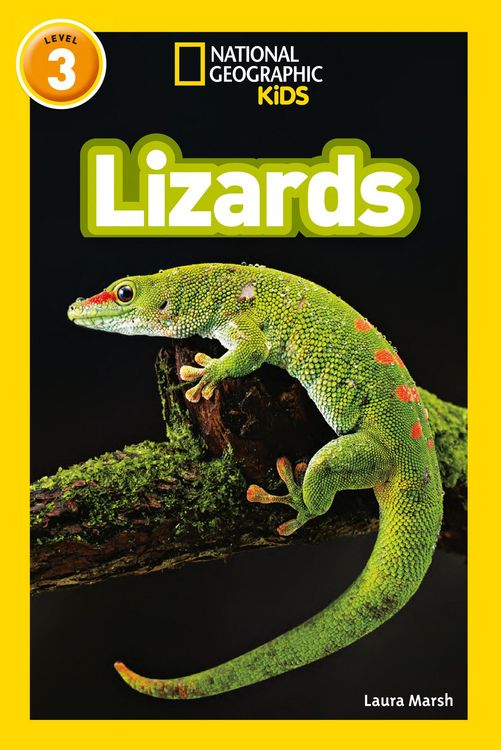 Produktbild: Lizards
