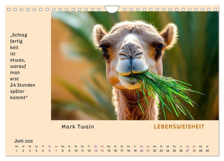 Produktbild: Pfiffig und weise (Wandkalender 2026 DIN A4 quer), CALVENDO Monatskalender