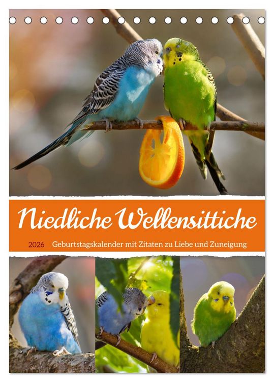 Produktbild: Niedliche Wellensittiche (Tischkalender 2026 DIN A5 hoch), CALVENDO Monatskalender