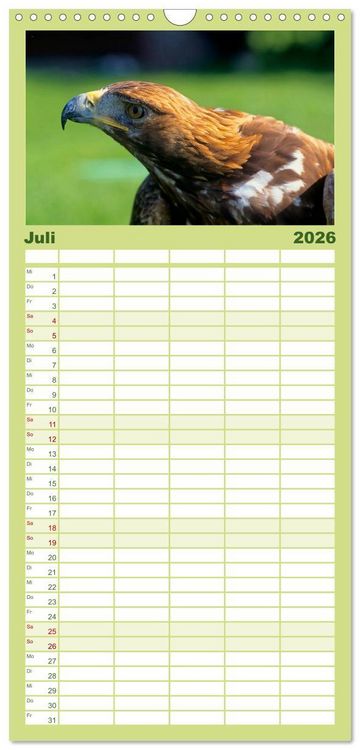 Produktbild: Familienplaner 2026 - Tiere des Waldes mit 5 Spalten (Wandkalender, 21 x 45 cm) CALVENDO