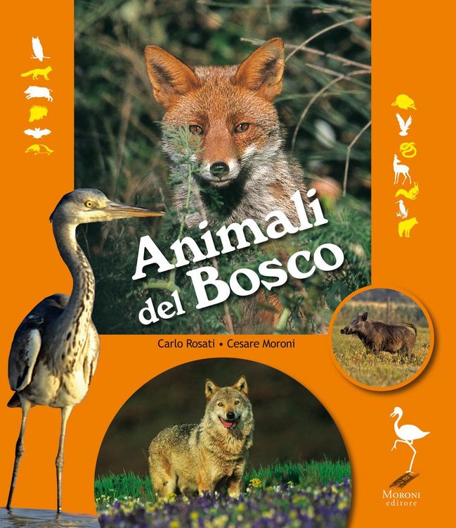 Produktbild: Animali del bosco