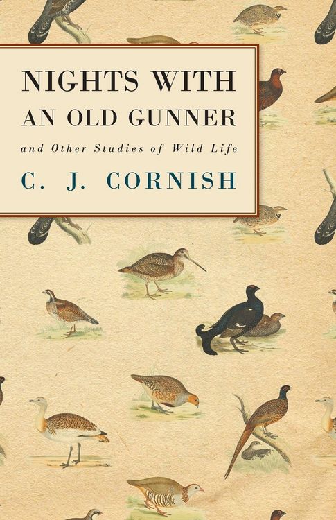 Produktbild: Nights With an Old Gunner and Other Studies of Wild Life