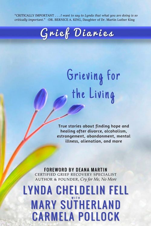 Produktbild: Grief Diaries