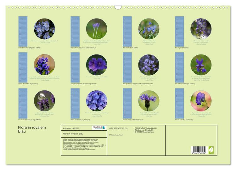 Produktbild: Flora in royalem Blau (Wandkalender 2026 DIN A2 quer), CALVENDO Monatskalender
