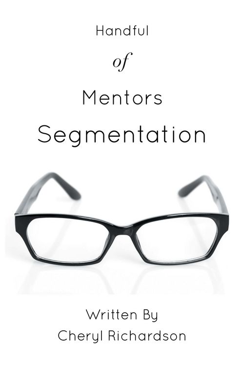 Produktbild: Handful of Mentors Segmentation