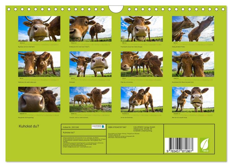 Produktbild: Kuhckst du? (Wandkalender 2026 DIN A4 quer), CALVENDO Monatskalender