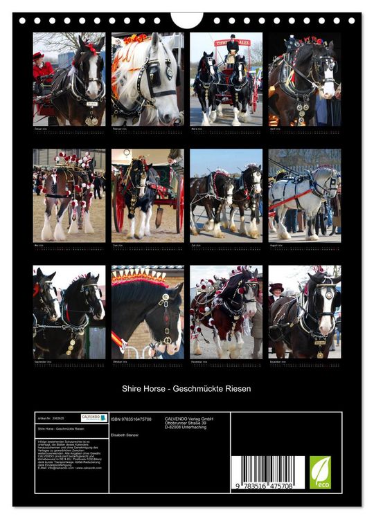 Produktbild: Shire Horse - Geschm&uuml;ckte Riesen (Wandkalender 2026 DIN A4 hoch), CALVENDO Monatskalender