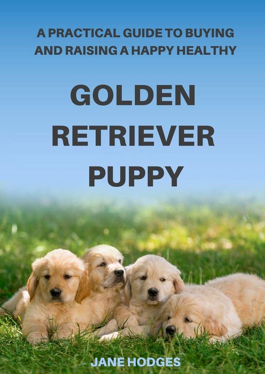 Produktbild: A Practical Guide to Buying and Raising A Happy Healthy Golden Retriever Puppy