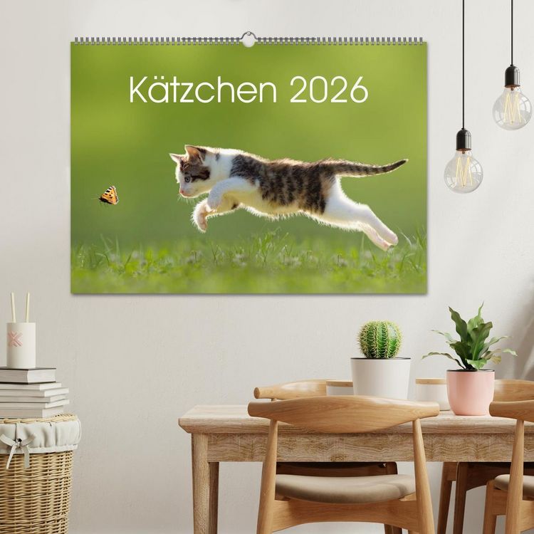 Produktbild: K&auml;tzchen 2026 (Wandkalender 2026 DIN A2 quer), CALVENDO Monatskalender