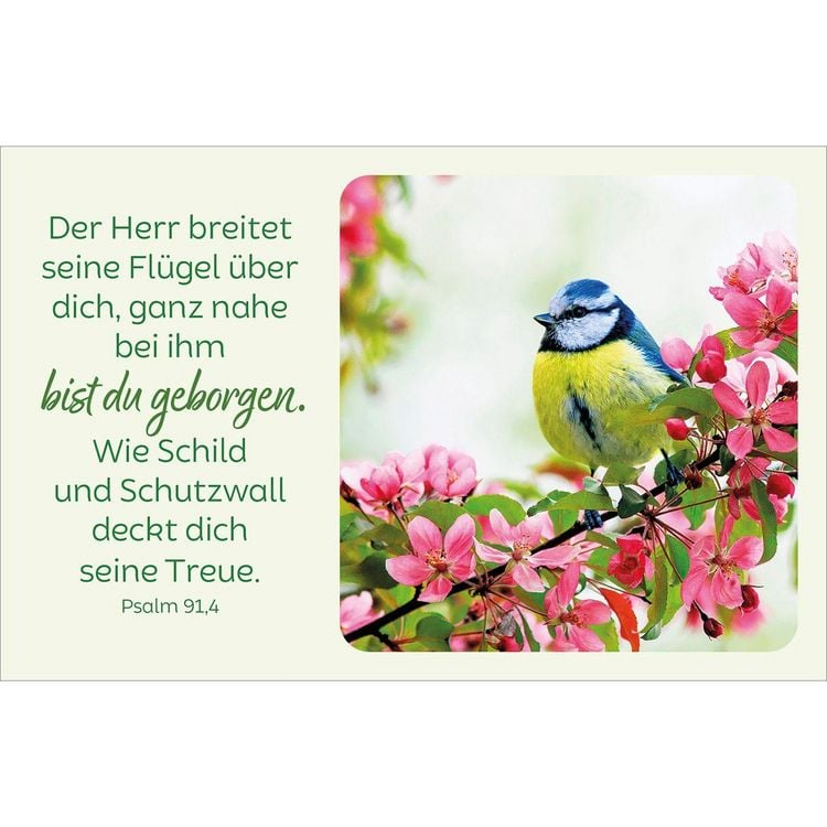 Produktbild: Bl&uuml;tenreiche Bibelverse