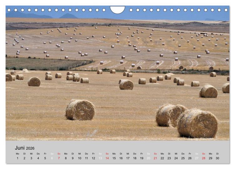 Produktbild: Momente in S&uuml;dafrika (Wandkalender 2026 DIN A4 quer), CALVENDO Monatskalender
