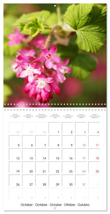 Produktbild: Arbres et arbustes la floraison (Calendrier mural carr&eacute; 2026 30x30 cm) Calendrier double avec une page pour vos prises de notes