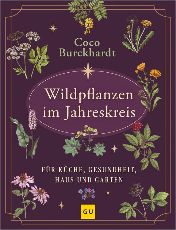 Produktbild: Wildpflanzen im Jahreskreis