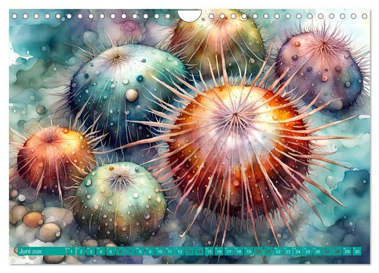 Produktbild: Meereskreaturen - Lebendige Unterwasserwelt (Wandkalender 2026 DIN A4 quer), CALVENDO Monatskalender